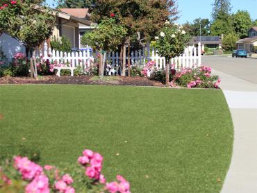 Artificial Grass Photos: Fake Grass La Crescenta-Montrose California Lawn  Front Yard